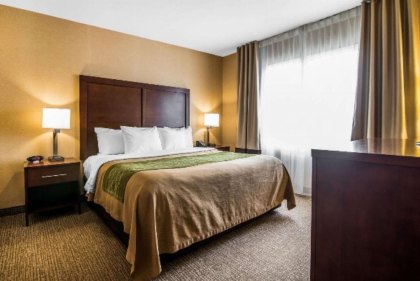 Quality Inn & Suites image 6